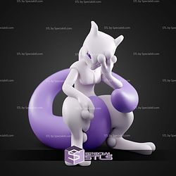 Basic Pokemon Collection Mew and Mewtwo