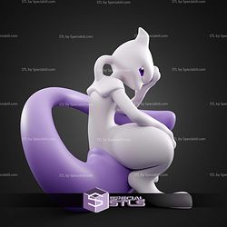 Basic Pokemon Collection Mew and Mewtwo