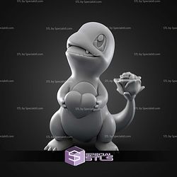 Basic Pokemon Collection Rose Charmander