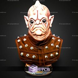 Basic STL Collection Bom Vimdim Bust