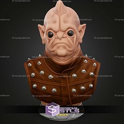 Basic STL Collection Bom Vimdim Bust