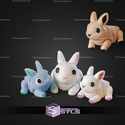 Basic STL Collection Bunny Flexi