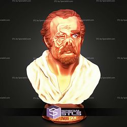 Basic STL Collection Doc Evazan Bust