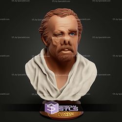 Basic STL Collection Doc Evazan Bust