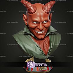 Basic STL Collection Kardue Bust