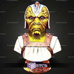 Basic STL Collection Klaatu Bust