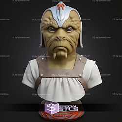 Basic STL Collection Klaatu Bust
