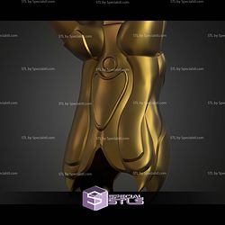 Cosplay STL Files Thundercats Shield