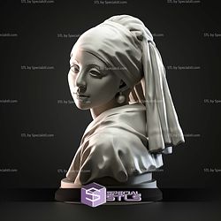 Mini Bust Character Collection STL Johannes Vermeer