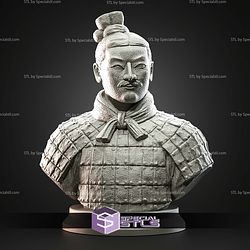 Mini Bust Character Collection STL Terracotta Army