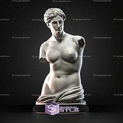 Mini Bust Character Collection STL Venus de Milo