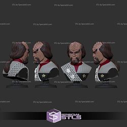Simple STL Collection Worf Bust
