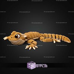 Super Basic STL Flexi Bearded Lizard V2