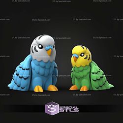 Super Basic STL Flexi Budgie