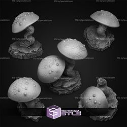 February 2026 Fantastic Plants and Rocks Miniatures