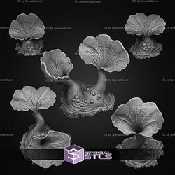 February 2026 Fantastic Plants and Rocks Miniatures