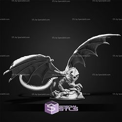 February 2026 Set 144 - Dragons Reborn Epic Miniatures