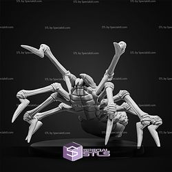 February 2026 Set 144 - Dragons Reborn Epic Miniatures