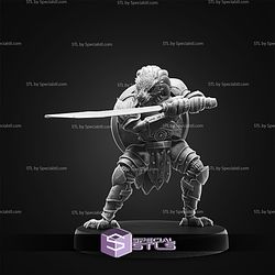 February 2026 Set 144 - Dragons Reborn Epic Miniatures