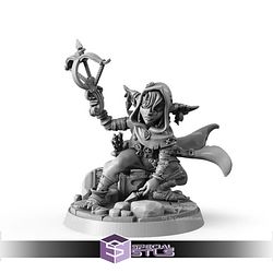 February 2026 Signum Workshop Miniatures