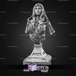 February 2026 SolGood Fantastic Ladies Miniatures