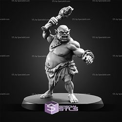 February 2026 The Printing Goes Ever On Miniatures