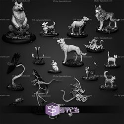 February 2026 Warp Miniatures