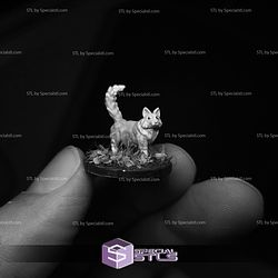 February 2026 Warp Miniatures