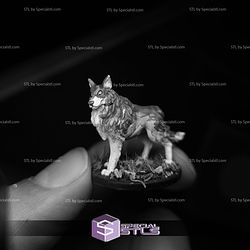 February 2026 Warp Miniatures