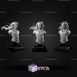 February 2026 White Werewolf Tavern Miniatures