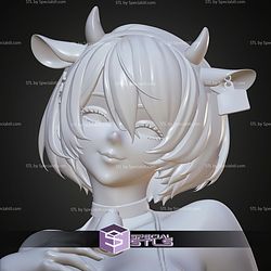 2B Cowgirl Alternative STL Files