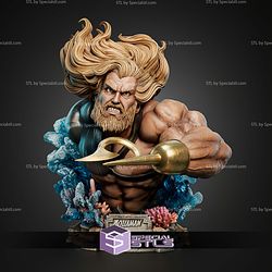 Aquaman Portrait Bust 344mm STL Files