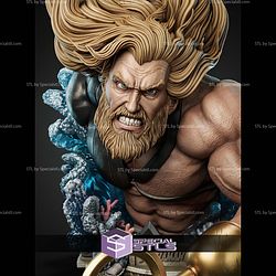 Aquaman Portrait Bust 344mm STL Files
