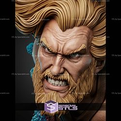 Aquaman Portrait Bust 344mm STL Files