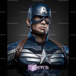 Captain America Winter Soldier Bust 271mm STL Files
