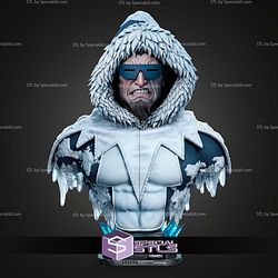 Captain Cold Portrait Bust 1-4 STL Files