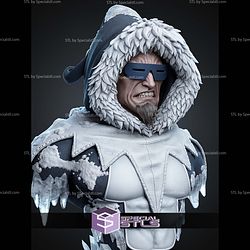 Captain Cold Portrait Bust 1-4 STL Files