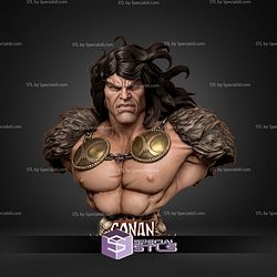 Conan The Barbarian Portrait Bust 328mm STL Files