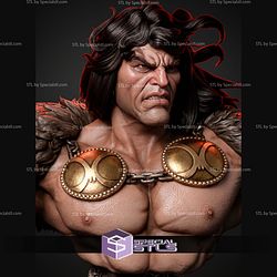 Conan The Barbarian Portrait Bust 328mm STL Files