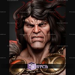 Conan The Barbarian Portrait Bust 328mm STL Files