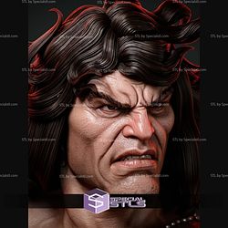 Conan The Barbarian Portrait Bust 328mm STL Files
