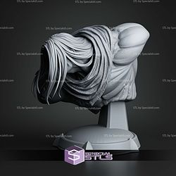 Death Darksiders II Bust 116mm STL Files