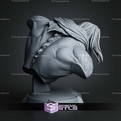 Death Darksiders II Bust 116mm STL Files