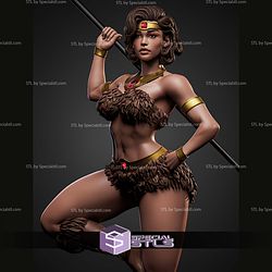 Diana The Acrobactic Dungeons And Dragons STL Files