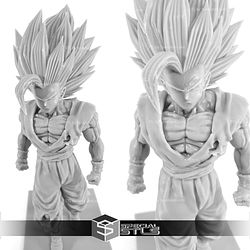 Gohan Beast Dragon Ball Super Vol 24 STL Files