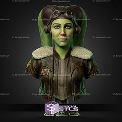 Hera Syndulla Portrait Bust 318mm STL Files