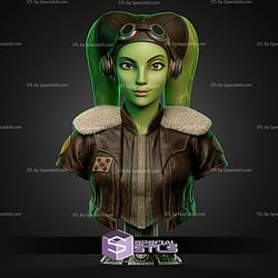 Hera Syndulla Portrait Bust 318mm STL Files