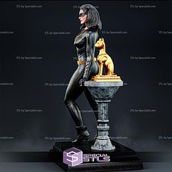 Julie Newmar Catwoman 1 6 STL Files