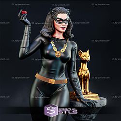 Julie Newmar Catwoman 1 6 STL Files