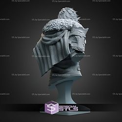 Kliff Bust Crimson Desert 112mm STL Files